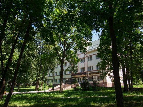 Фото — Отель Дубрава, Самара