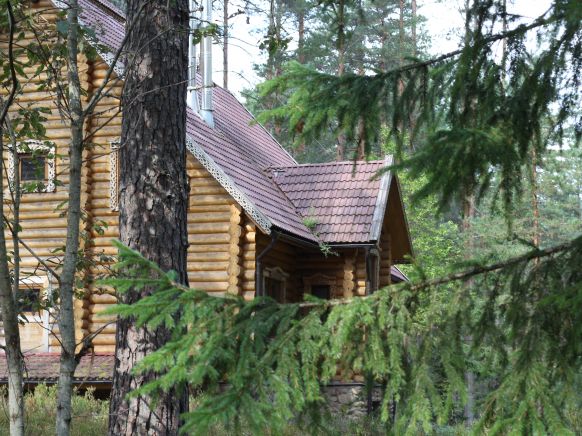 Фото — База отдыха Озерная, Пено