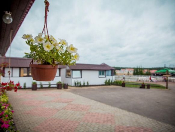 Фото — Отель Сойкино, Ломоносов