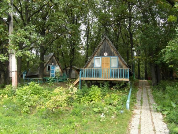 Фото — База отдыха Дубки, Волжский, Самарская область