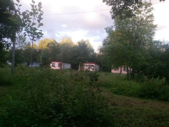 Фото — База отдыха Лесная поляна, Покровка, Самарская область