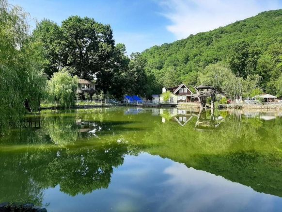 Фото — База отдыха Эко-деревня Раздолье, Архипо-Осиповка