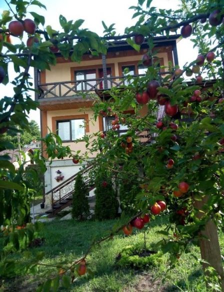 Фото — Загородный отель Country House on Matsesta, Сочи