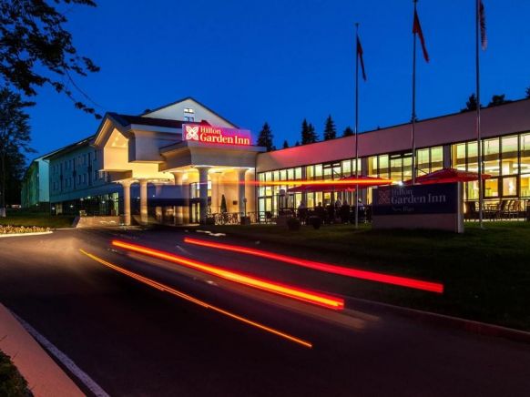 Фото — Отель Hilton Garden Inn Moscow New Riga, Истра