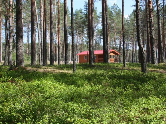 Фото — База отдыха Домик на озере, Гдов