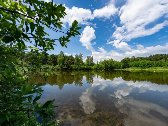 Фото — База отдыха Голубое озеро, Бердск