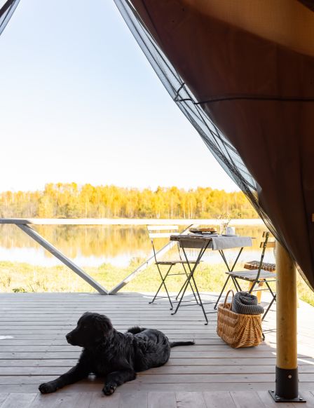 Фото — Загородный отель Vazuza camp, Лебедки