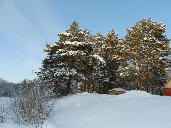 Фото — База отдыха Игоревские дали, Омск