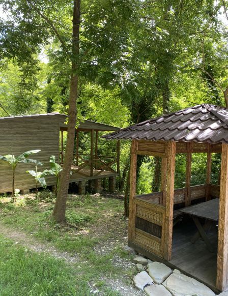 Фото — База отдыха Пальмира (Шуюк), Туапсе