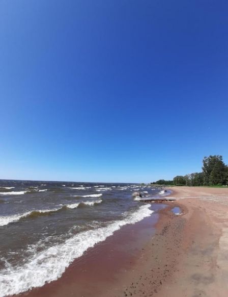 Фото — Отель В деревне Вязы, Приморск